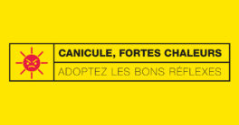 Vague de chaleur cette semaine : adoptez les bons réflexes