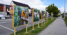 Exposition Photos "Les animaux prennent la pose"