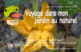 Voyage dans mon jardin naturel