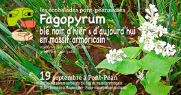 Écobalade Fagopyrum, blé noir d'hier et d'aujourd'hui