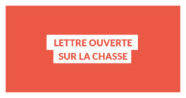 Lettre ouverte sur la chasse