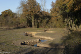 Travaux du Tellé