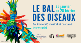Le Bal des Oiseaux