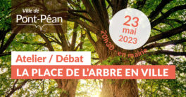 Atelier/Débat - La place de l'arbre en ville