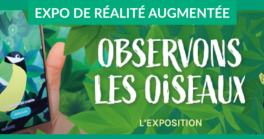 "Observons les oiseaux" - Expo de réalité augmentée