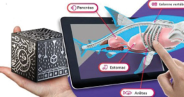 Atelier création de merge cube