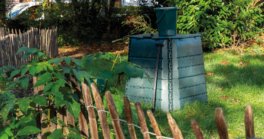 Demandez votre composteur !