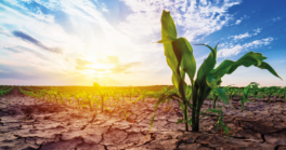 Consultation pour l'ajustement de l'arrêté sécheresse