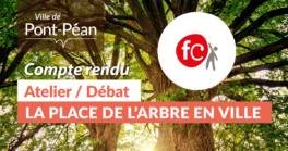 Retour sur la réunion publique - La place de l’arbre en ville
